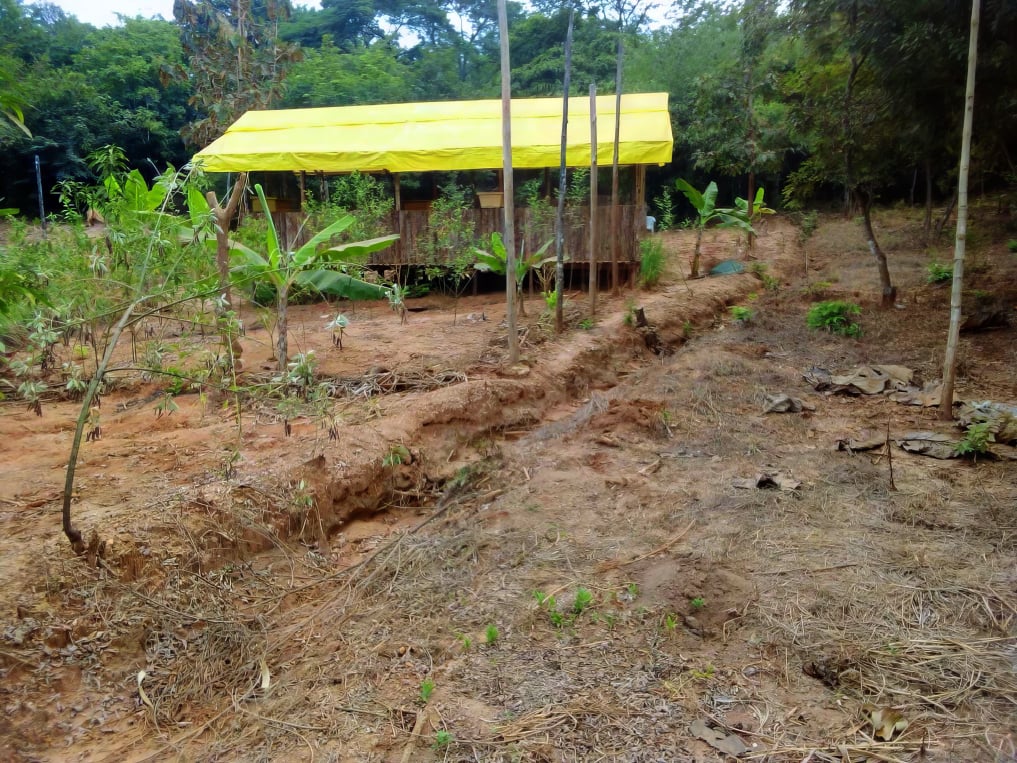 Mobirise Website Builder