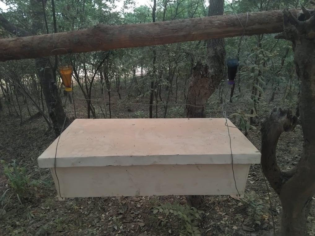 Mobirise Website Builder