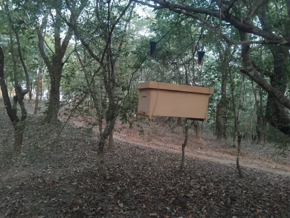 Mobirise Website Builder