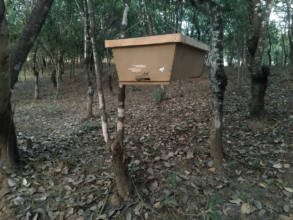 Mobirise Website Builder