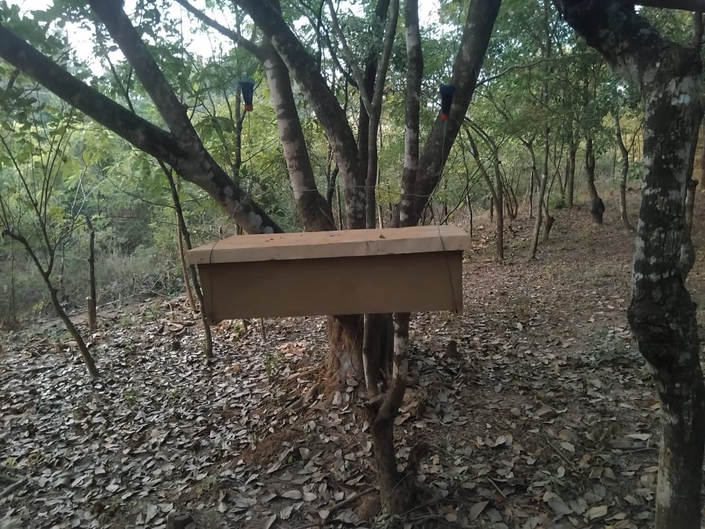 Mobirise Website Builder